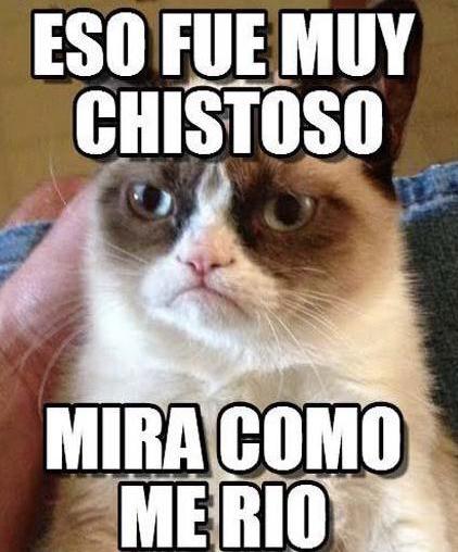 Imagen foto_00000002