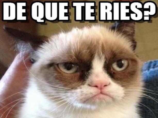 Imagen foto_00000004