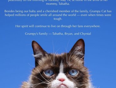 Murió Grumpy Cat, el 'gato gruñón' más famoso de internet