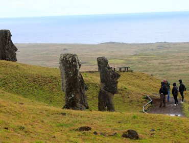 Contraloría tomó razón de la Alerta Sanitaria ante brote de 22 casos de dengue en Rapa Nui