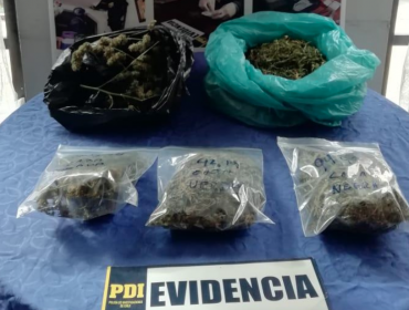 Vecinos denunciaron a mujer de 62 años que vendía droga en su casa en San Felipe