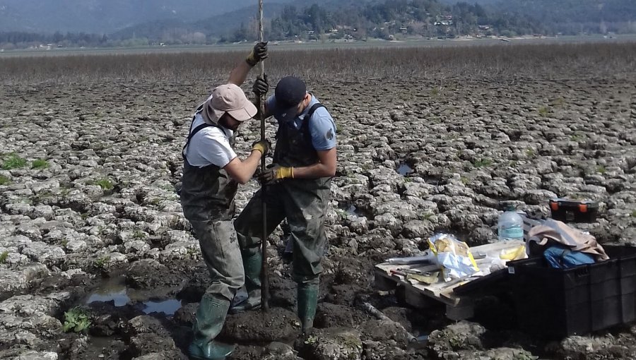 Investigador UPLA reconstruirá paisaje de Chile Central de hace 10 mil años