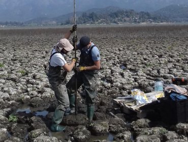 Investigador UPLA reconstruirá paisaje de Chile Central de hace 10 mil años