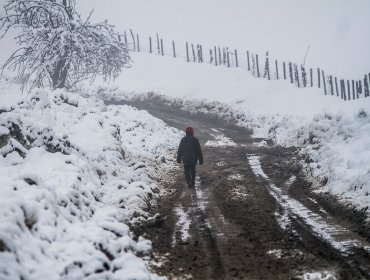 La Araucanía: Lonquimay registró -7,5º de temperatura mínima este miércoles