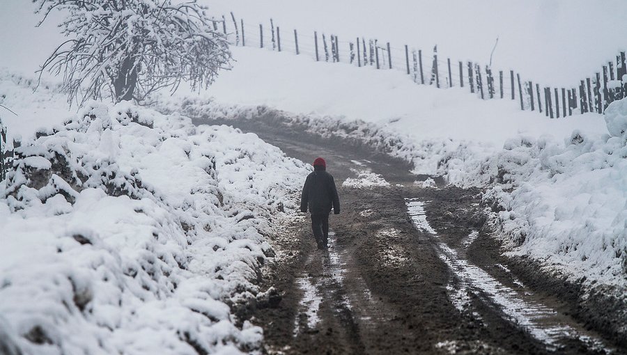 La Araucanía: Lonquimay registró -7,5º de temperatura mínima este miércoles