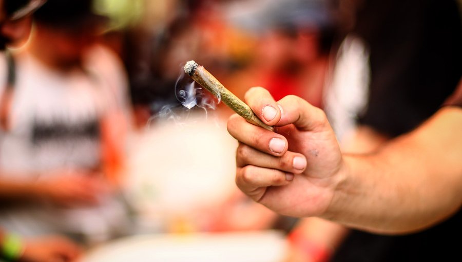 Más de la mitad de los universitarios chilenos ha consumido marihuana en el último año