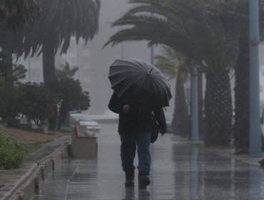 Municipio de Viña del Mar pidió a vecinos que "adopten medidas" ante sistema frontal