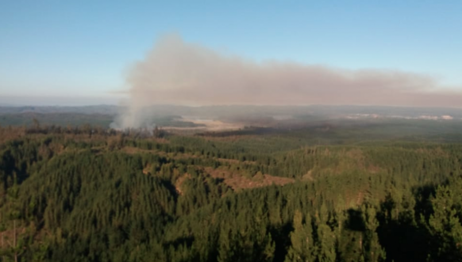 Declaran Alerta Roja en Valparaíso por incendio forestal en la Reserva Nacional Lago Peñuelas