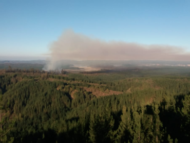 Declaran Alerta Roja en Valparaíso por incendio forestal en la Reserva Nacional Lago Peñuelas