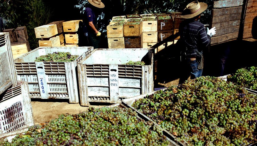 Agrícola Campillay anunció el cierre de sus puertas por falta de solvencia