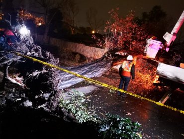 Fuerte viento provocó la caída de 650 árboles en la región Metropolitana