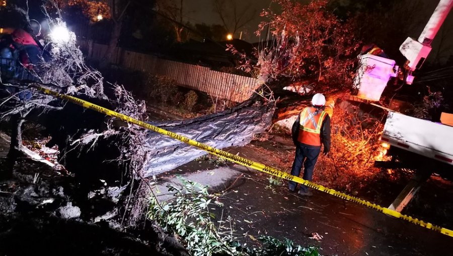Fuerte viento provocó la caída de 650 árboles en la región Metropolitana