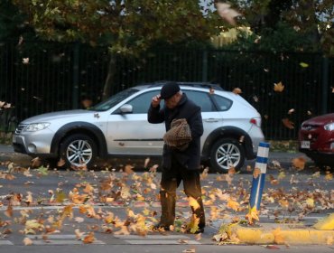 11.950 clientes siguen sin energía eléctrica en la región Metropolitana a causa del viento