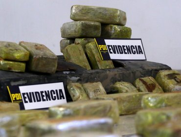 PDI incautó 170 kilos de marihuana avaluada en más de 600 millones de pesos