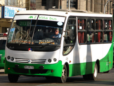 Precios, frecuencias y multas: Denuncian irregularidades cometidas por la empresa Viña Bus S.A.