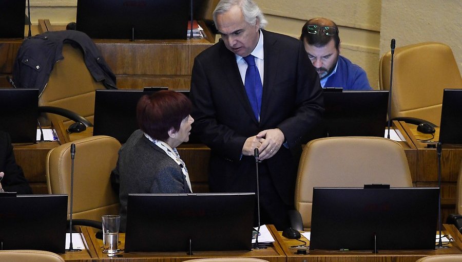Ministro Chadwick presentará ante Fiscalía antecedentes por campaña contra Carmen Hertz