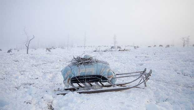 Cambio climático podría transformar a Siberia en habitable a fines de siglo