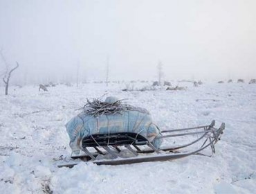 Cambio climático podría transformar a Siberia en habitable a fines de siglo