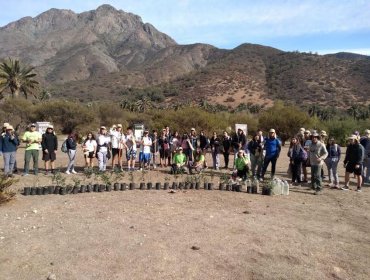 Estudiantes de San Antonio plantaron árboles nativos en el Parque Nacional La Campana