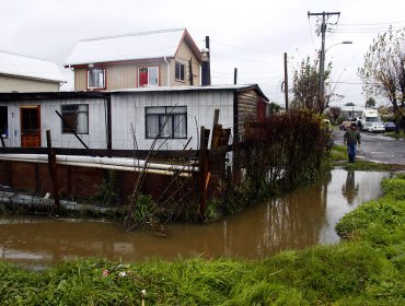 Onemi Biobío informó que lluvias provocaron daños en 250 casas de la región