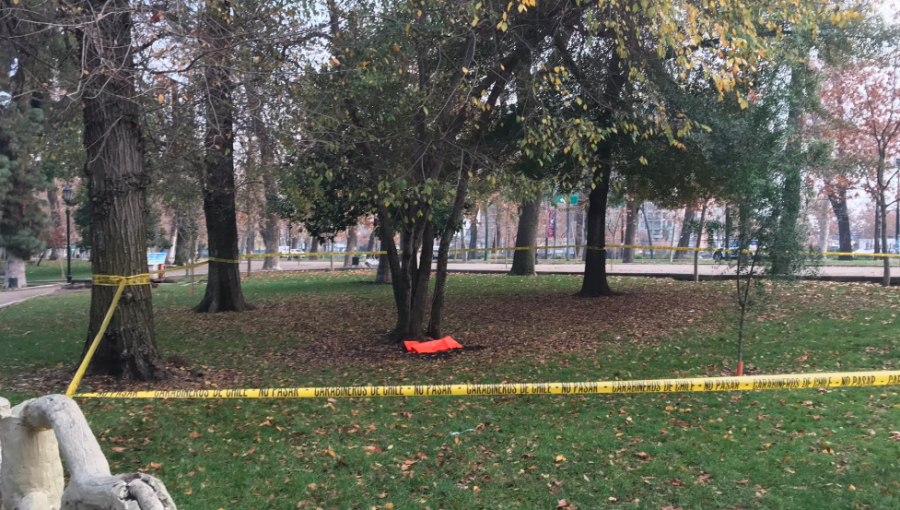 Joven extranjera se realizó un aborto y enterró al feto bajo un árbol del parque Forestal
