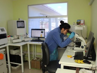 Más de 98 mil exámenes se han realizado en el Laboratorio Clínico Municipal de Quillota