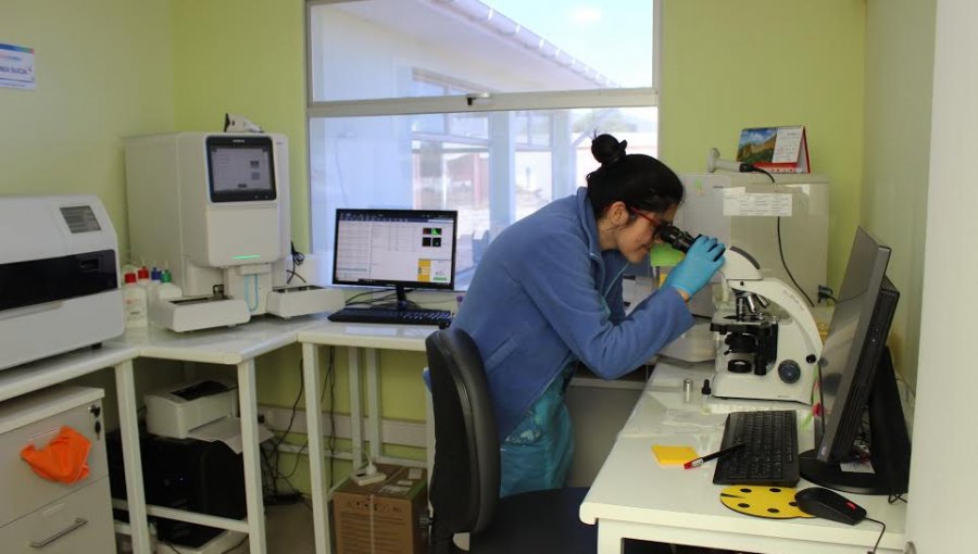 Más de 98 mil exámenes se han realizado en el Laboratorio Clínico Municipal de Quillota