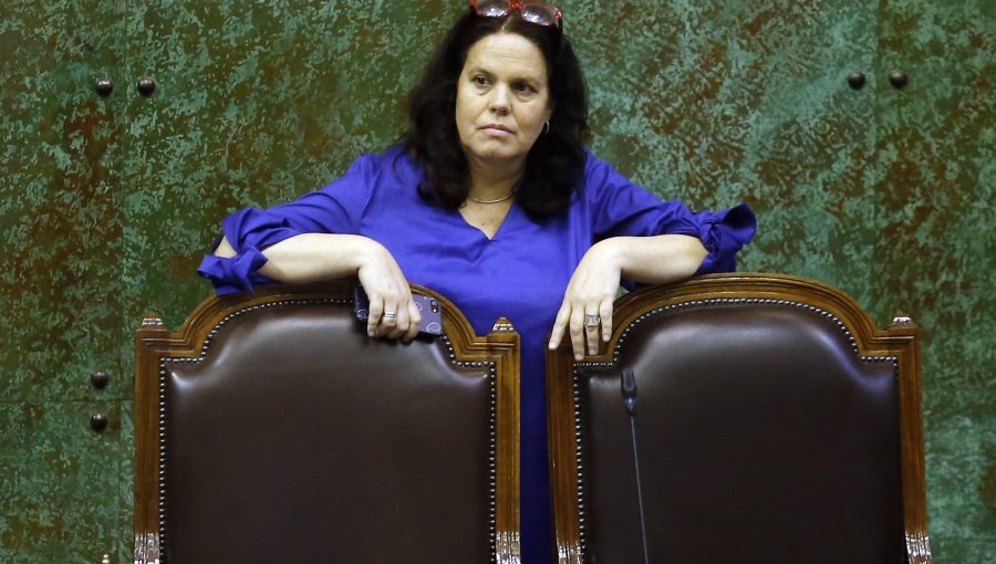 Maya Fernández: "Miembros del PS no le han tomado el peso a esta grave crisis"