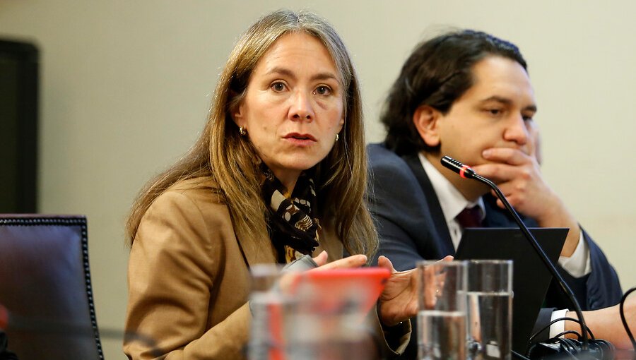 Ex ministra Susana Jiménez fue designada como directora del Consejo Directivo de BancoEstado