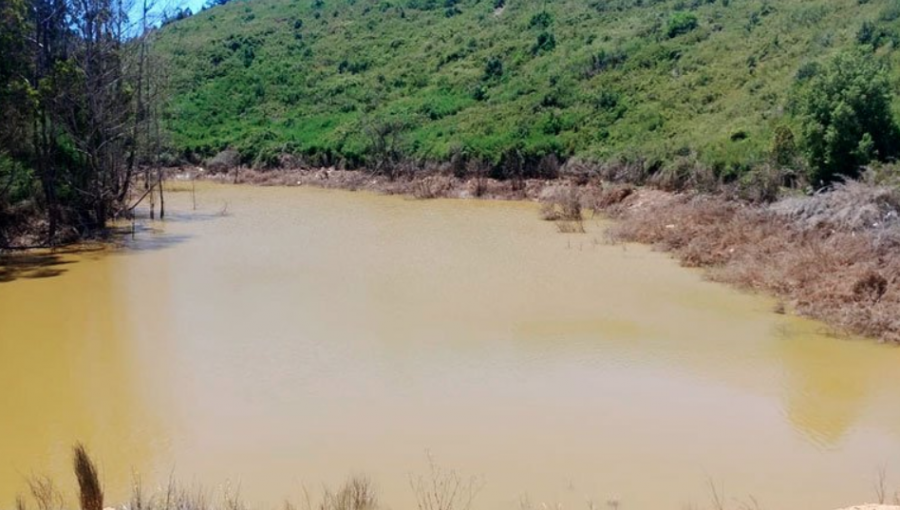 Experta de la U. de Playa Ancha advierte que población de Laguna Verde "consume aguas subterráneas no seguras”