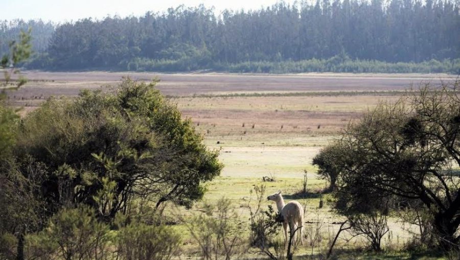 Más de 45 mil personas visitaron el 2018 la Reserva Nacional Lago Peñuelas de Valparaíso