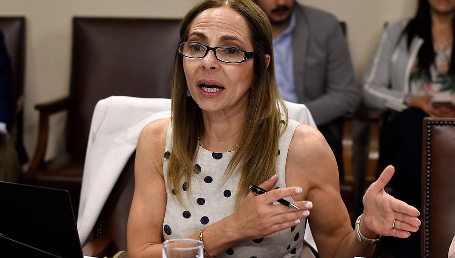 Ministra Plá criticó actuar de instituciones públicas tras femicidio número 24