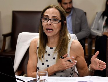 Ministra Plá criticó actuar de instituciones públicas tras femicidio número 24
