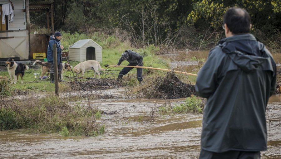 Balance Onemi: 380 damnificados y 8.607 aislados entre el Ñuble y La Araucanía