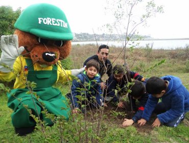 Conaf firmó convenio con Municipalidad para arborizar distintos puntos de Concón