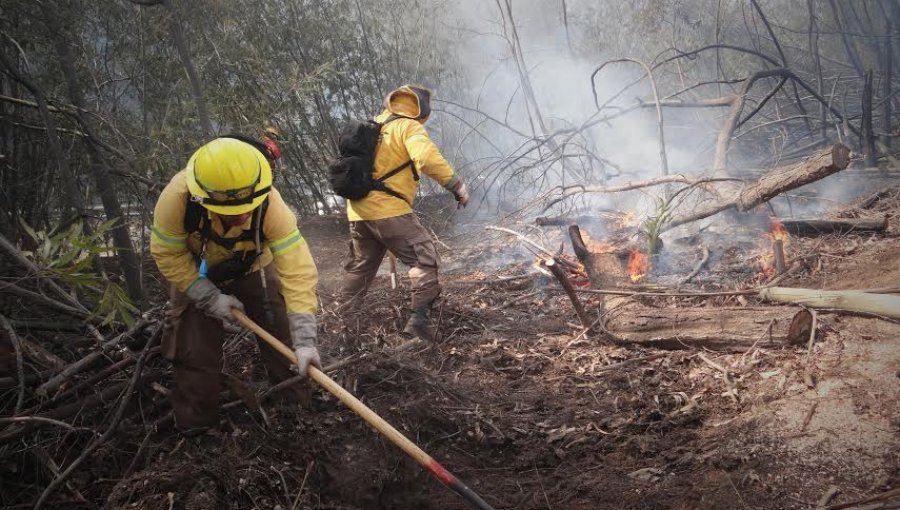 Superficie afectada por incendios forestales disminuyó un 23% en la región de Valparaíso