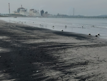 Registran tercer varamiento de carbón en días consecutivos en playa de Puchuncaví