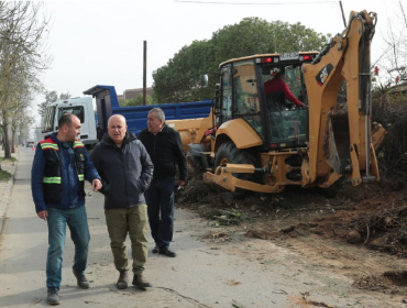 Tras expropiación: En septiembre comenzará pavimentación de calle Las Palmas de Quilpué