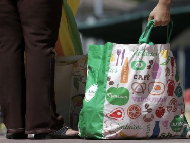 Presentan proyecto que obliga a supermercados proveer gratuitamente bolsas reciclables