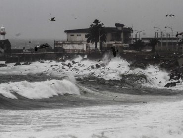 Emiten nueva alerta de marejadas entre Aysén y Arica, incluyendo Juan Fernández