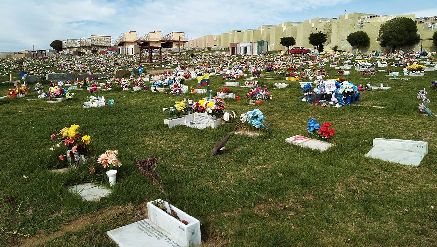 Municipalidad de Valparaíso estudia terminar contrato con empresa a cargo de cementerio parque