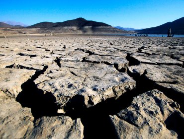 Gobierno calificó de "gravísima" la sequía que afecta a la región de Coquimbo