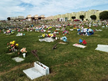 Municipalidad de Valparaíso estudia terminar contrato con empresa a cargo de cementerio parque