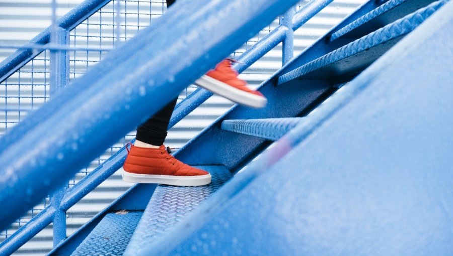 Experto entrega claves para saber qué hacer en casa para evitar el sobrepeso y la obesidad