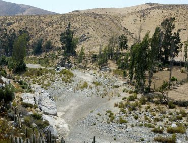 Ministro de Agricultura analiza decretar zona de emergencia agrícola a la región de Coquimbo