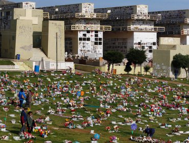 Corporación Municipal condena actos de violencia y redobla atención en cementerio parque de Playa Ancha