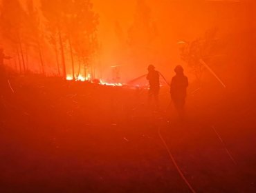 Al menos 39 personas han resultado heridas por varios incendios forestales en Portugal