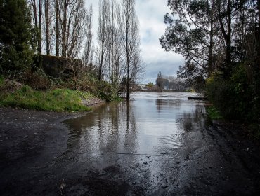 Onemi reportó desborde de ríos en las comunas de Lanco y Mariquina