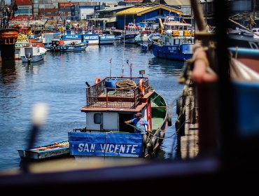 Comisión de Pesca rechazó postergar entrada en vigencia de ley de la jibia