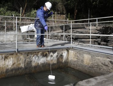 Universidad de Los Lagos recomendó no consumir el agua potable en Osorno